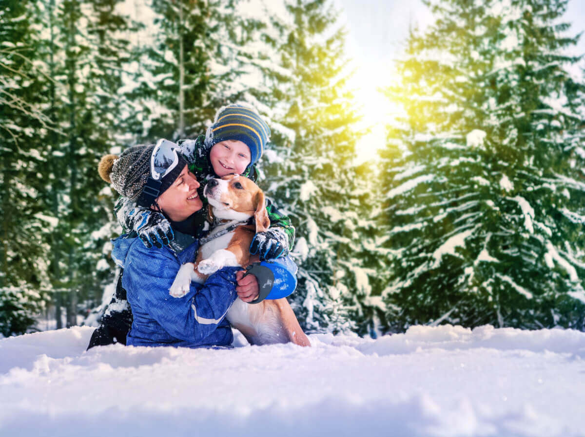 Zimné prechádzky so psom si vyžadujú špeciálnu prípravu. Mráz a ľad môžu spôsobiť bolesť vankúšikov na labkách.